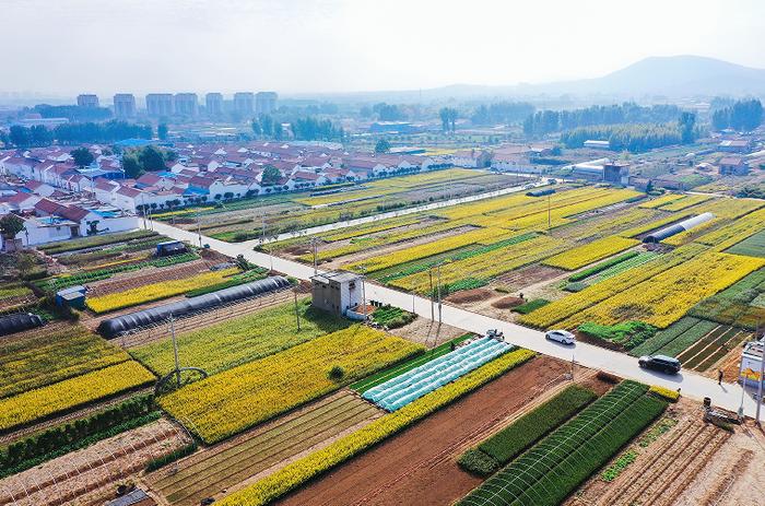 鄒平市好生街道圍繞打造省級鄉(xiāng)村振興齊魯樣板示范區(qū)持續(xù)發(fā)力